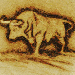 Bik u talogu od kafe u šolji