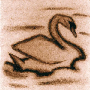 Labud u talogu od kafe u šolji