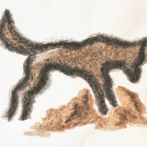 Pas u talogu od kafe u šolji