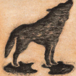 Vuk u talogu od kafe u šolji