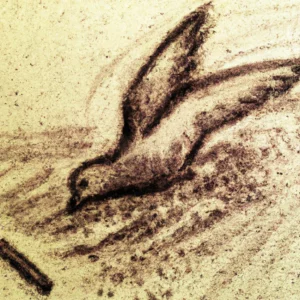 Golub u talogu od kafe u šolji