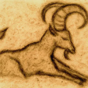 Jarac u talogu od kafe u šolji