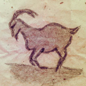 Koza u talogu od kafe u šolji