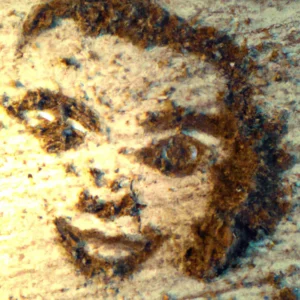 Lice u talogu od kafe u šolji