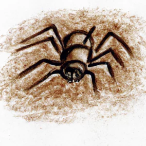 Pauk u talogu od kafe u šolji