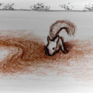 Veverica u talogu od kafe u šolji