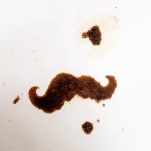 Brkovi u šolji kafe – kompletno tumačenje