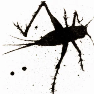 Cvrčak u šolji kafe – interpretacija i tumačenje