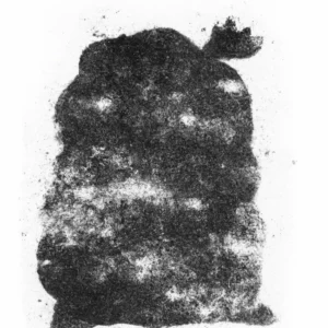 Džak u šolji kafe – detaljno tumačenje